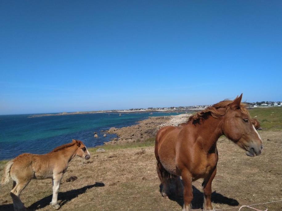 Le Gite Donemat Ploudalmezeau Bagian luar foto